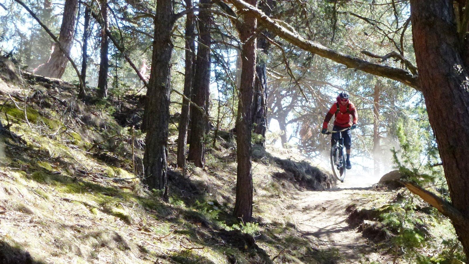 Propain Enduro Fun-Trail (auch E-bike)